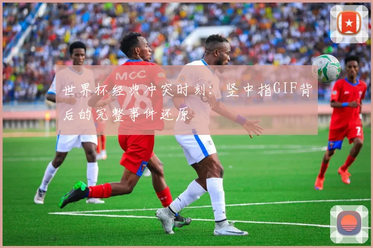 世界杯经典冲突时刻:竖中指GIF背后的完整事件还原