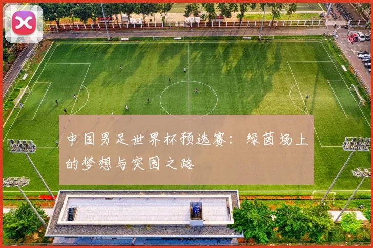 中国男足世界杯预选赛：绿茵场上的梦想与突围之路