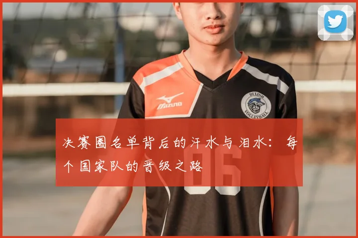 决赛圈名单背后的汗水与泪水：每个国家队的晋级之路