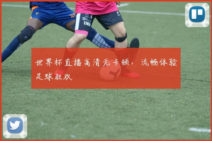世界杯直播高清无卡顿,流畅体验足球狂欢