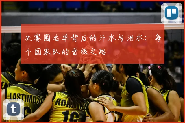 决赛圈名单背后的汗水与泪水：每个国家队的晋级之路