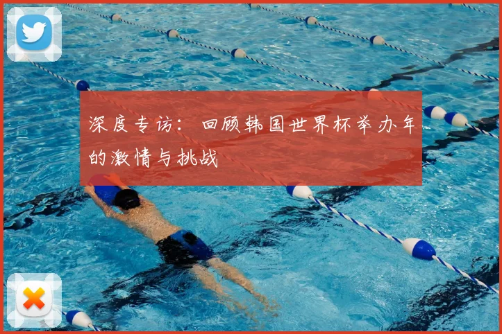 深度专访:回顾韩国世界杯举办年的激情与挑战