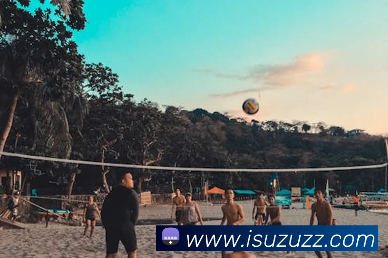 k体育官方下载发展历程